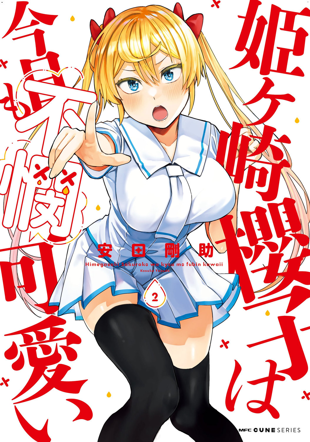 姫ヶ崎櫻子は今日も不憫可愛い 2 姬之崎櫻子今天依然惹人憐愛 2